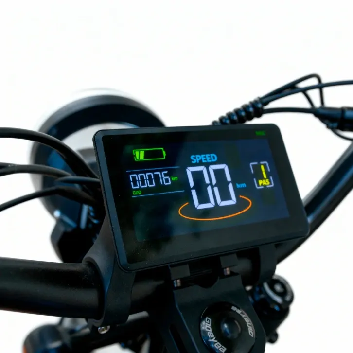 Velocidade, nível de bateria, modo PAS e hodômetro em display colorido de alto contraste.